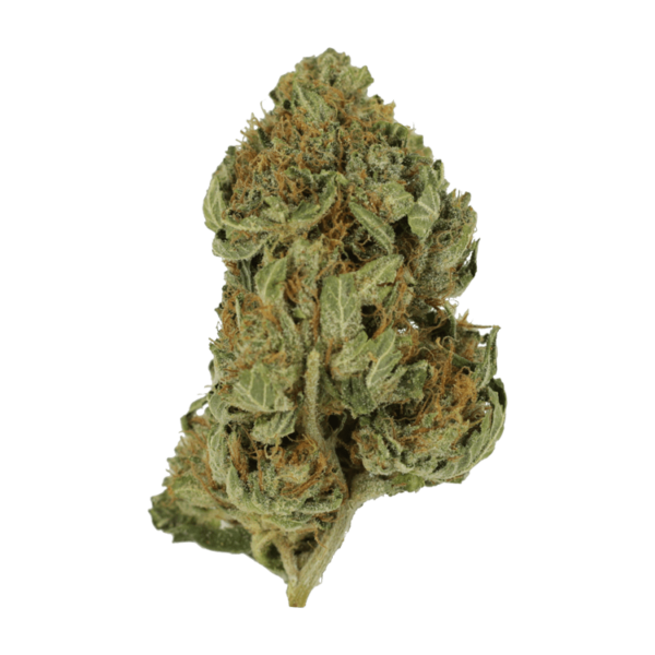 Bubblegum – 1 ounce | Buy Cheap Weed Canada