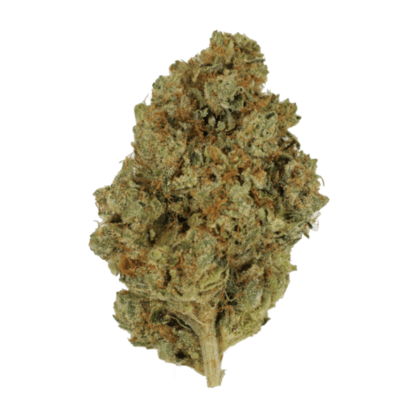 Nepalese | Buy Cheap Weed Canada