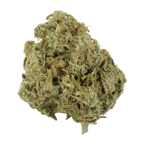 Moby Dick | Buy Cheap Weed Canada