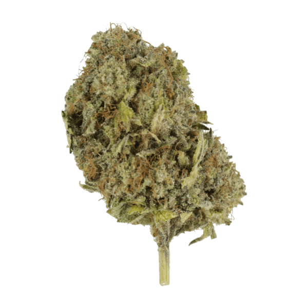 God’s Green Crack | Buy Cheap Weed Canada