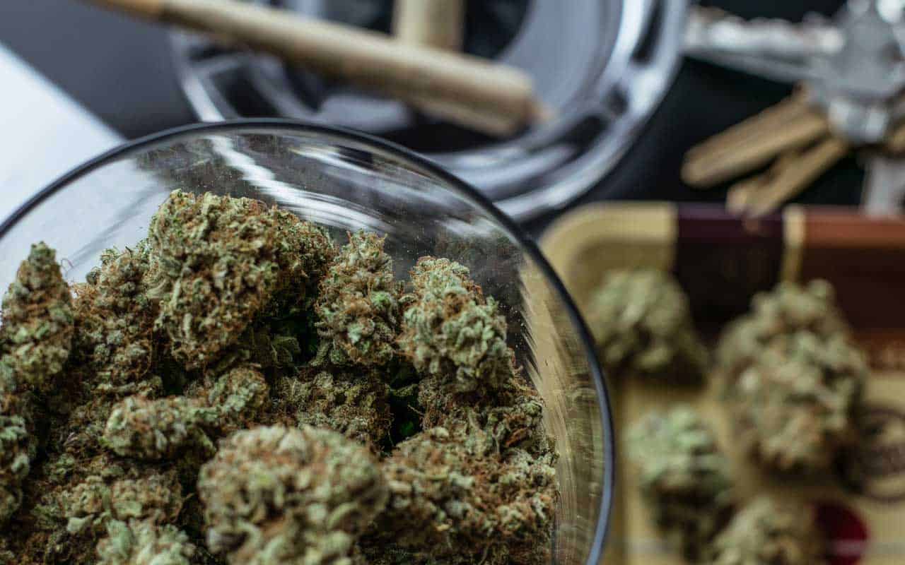 Premium weed vs Affordable Weed | Buy Cheap Weed Canada