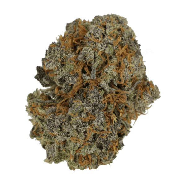 Jack Herer 1 Ounce | Buy Cheap Weed Canada