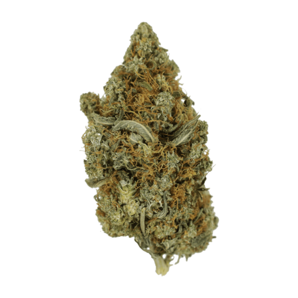 Jack Herer 1 Ounce | Buy Cheap Weed Canada