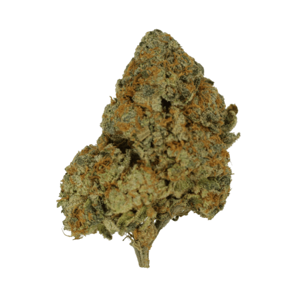 9lb Hammer | Buy Cheap Weed Canada