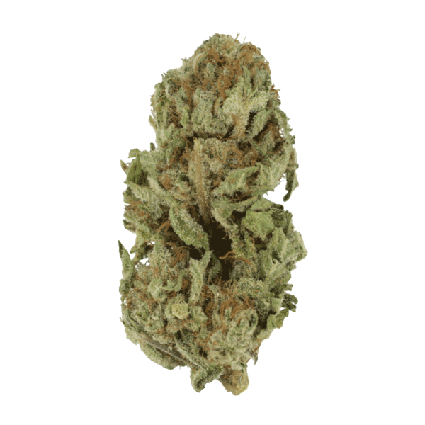 Golden Goat | Buy Cheap Weed Canada