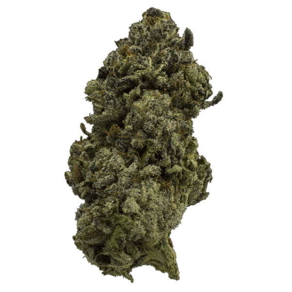 Fire Alien Urkle | Buy Cheap Weed Canada