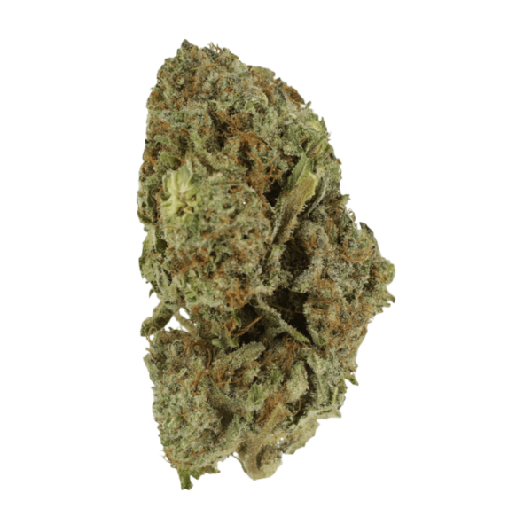 Gelato Sorbet – 1 ounce | Buy Cheap Weed Canada