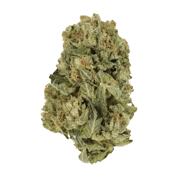 Black Domina | Buy Cheap Weed Canada