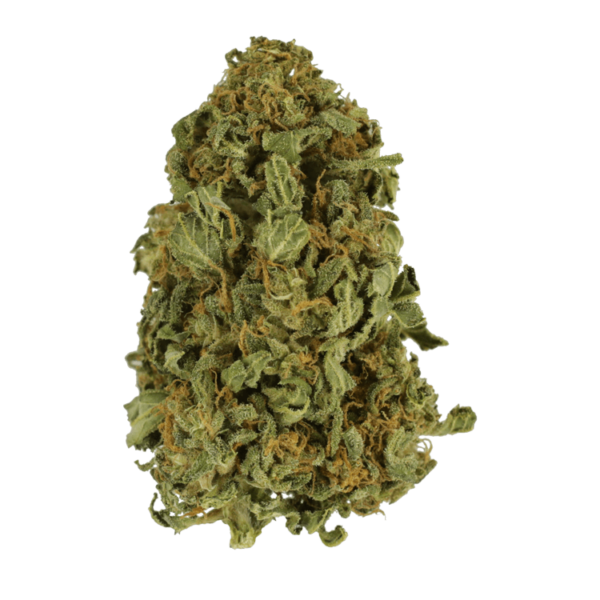 Apricot Kush – $35/oz | Buy Cheap Weed Canada