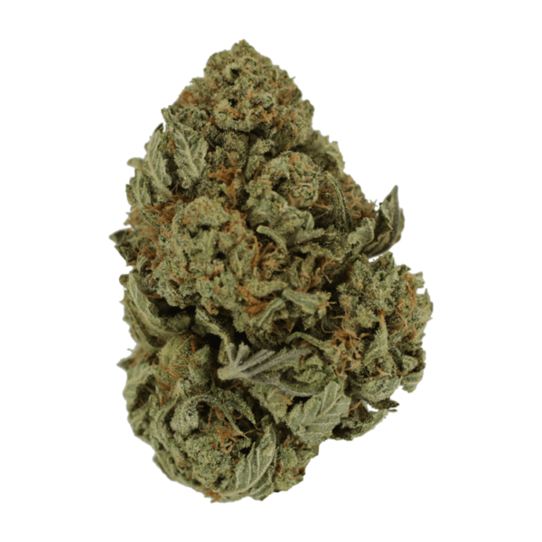 Master Kush Ultra | Buy Cheap Weed Canada