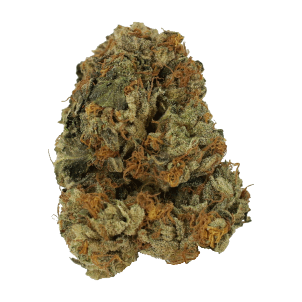 Dolato – 1OZ | Buy Cheap Weed Canada