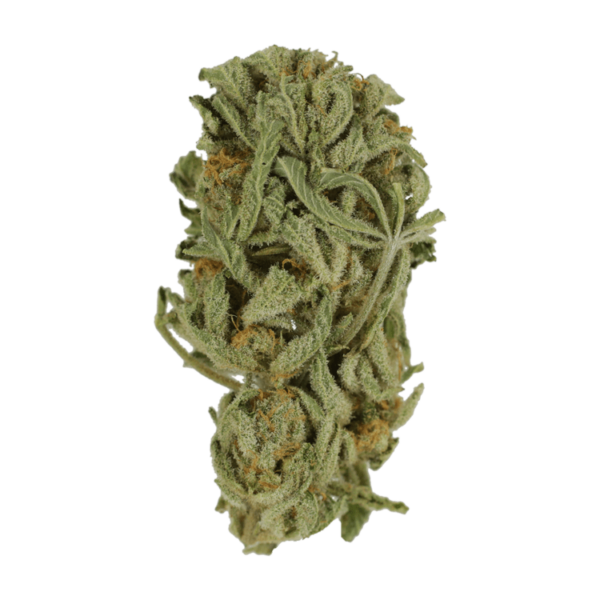 Master Kush Ultra | Buy Cheap Weed Canada