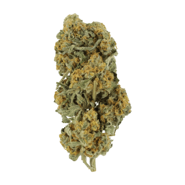 Miracle Alien Cookies | Buy Cheap Weed Canada