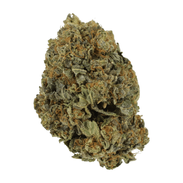 White Shark – 1 ounce | Buy Cheap Weed Canada