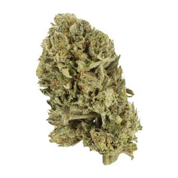 Purple OG Kush – 1 ounce | Buy Cheap Weed Canada