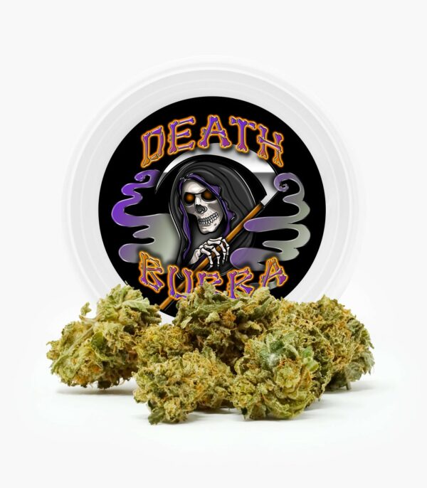 Westcoast Cali Tins – Premium Flower – Skywalker OG – 3.5g | Buy Cheap Weed Canada