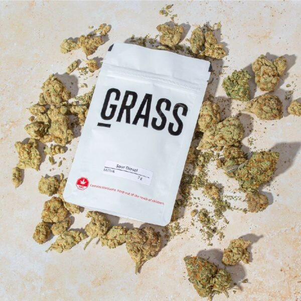 1/2OZ Sample Pack (AAA) – SAVE 20% | Buy Cheap Weed Canada