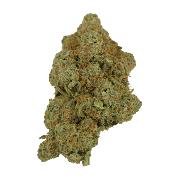Tropicana Cookies | Buy Cheap Weed Canada