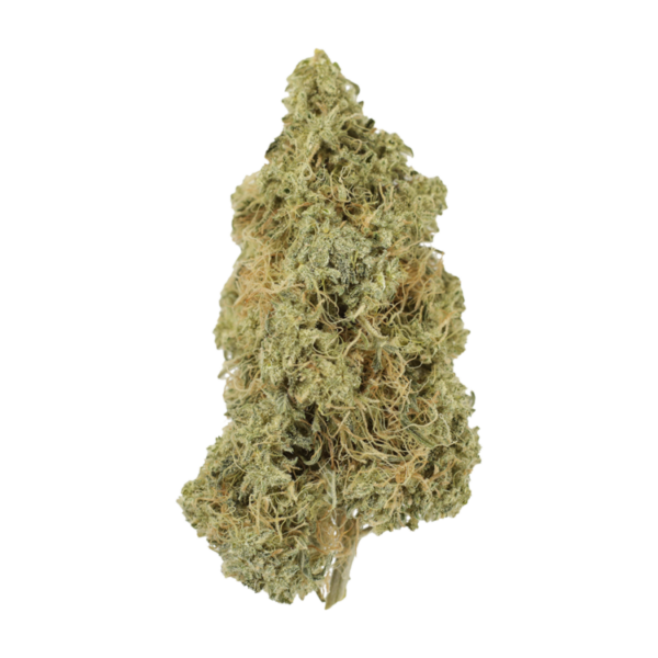 Tropicana Cookies | Buy Cheap Weed Canada