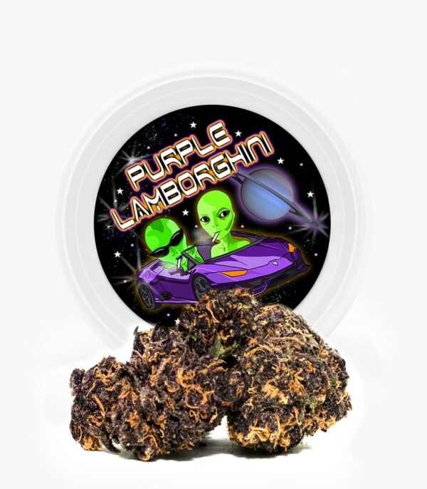 Westcoast Cali Tins – Premium Flower – Purple Lamborghini – 3.5g | Buy Cheap Weed Canada