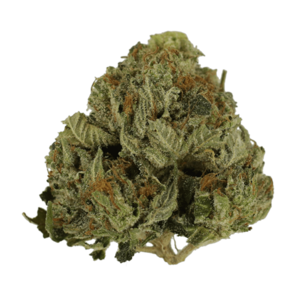 Pink Animal – 1 ounce | Buy Cheap Weed Canada