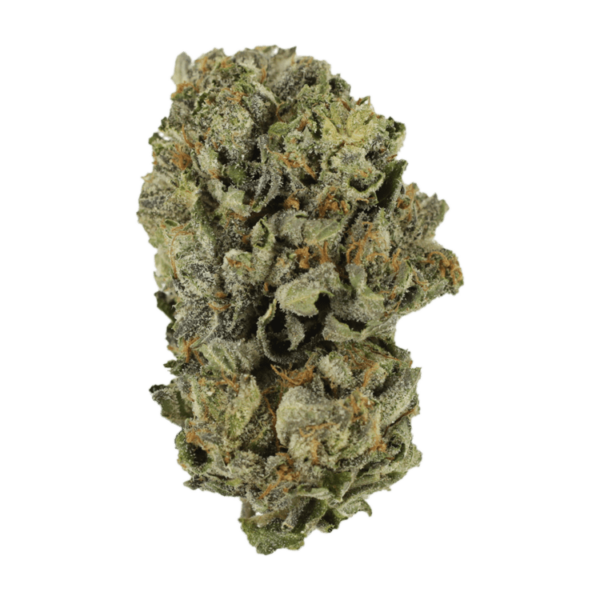 Cerebro Haze | Buy Cheap Weed Canada