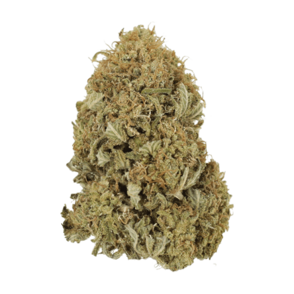 G13 | Buy Cheap Weed Canada