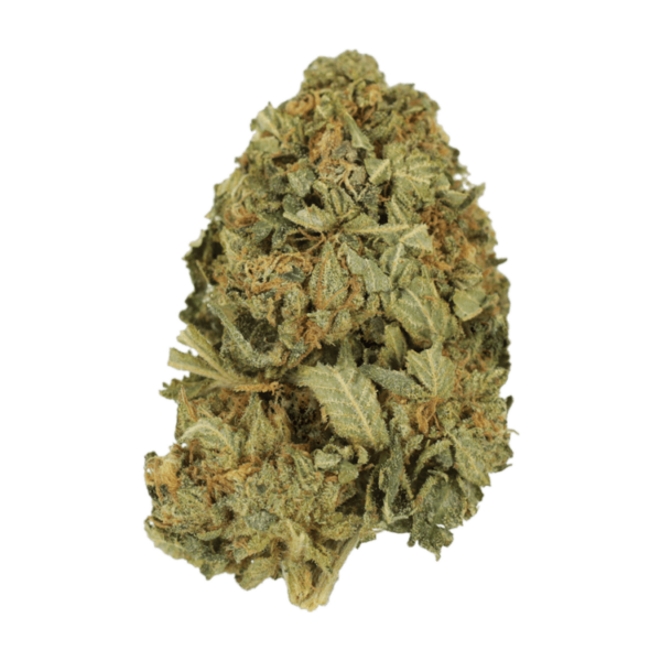 G13 | Buy Cheap Weed Canada