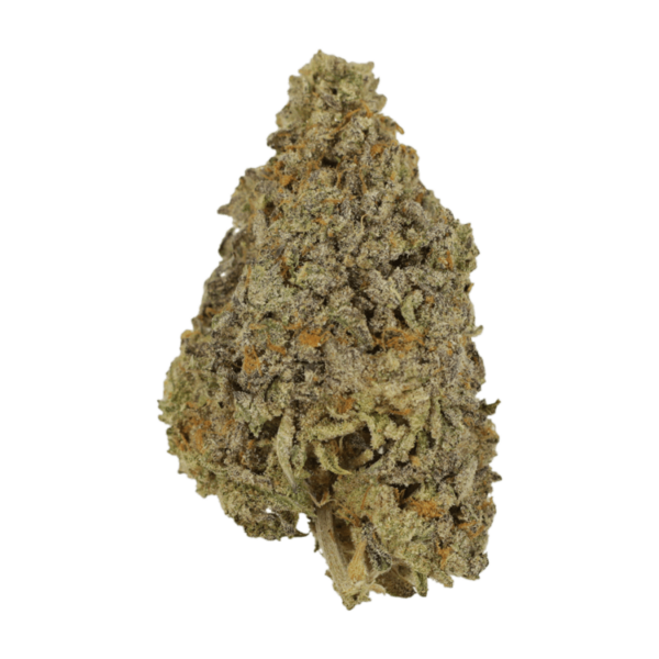 Frosty Gelato | Buy Cheap Weed Canada