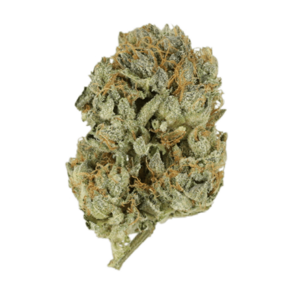 Kashmir Kush | Buy Cheap Weed Canada