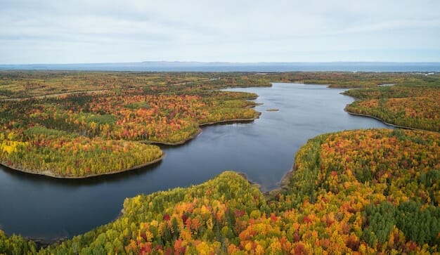 best weed canada New Brunswick