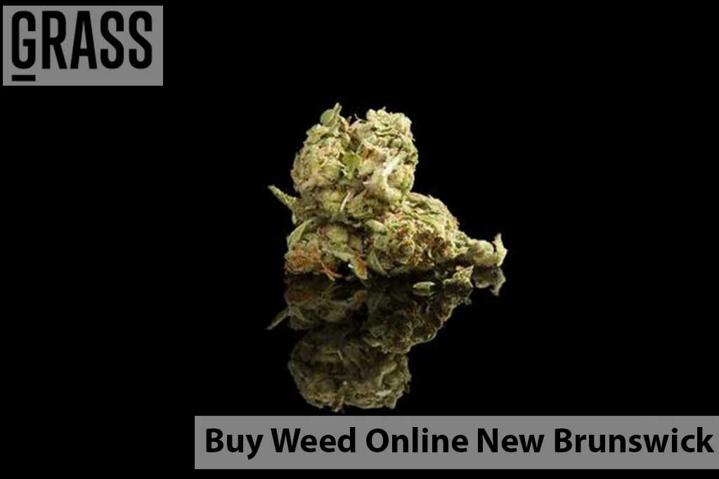 Buy weed online New Brunswick