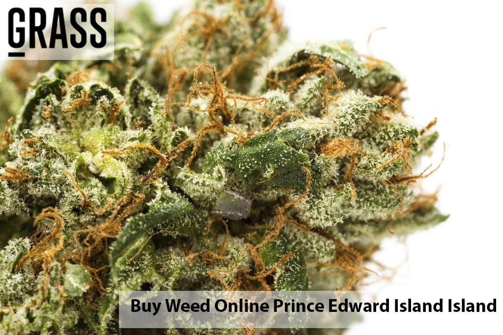 Buy weed Online Prince Edward Island