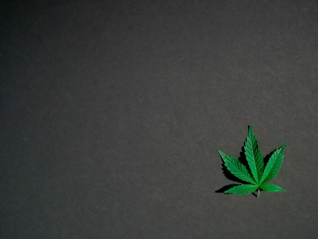 Hybrid - weed | Buy Cheap Weed Canada