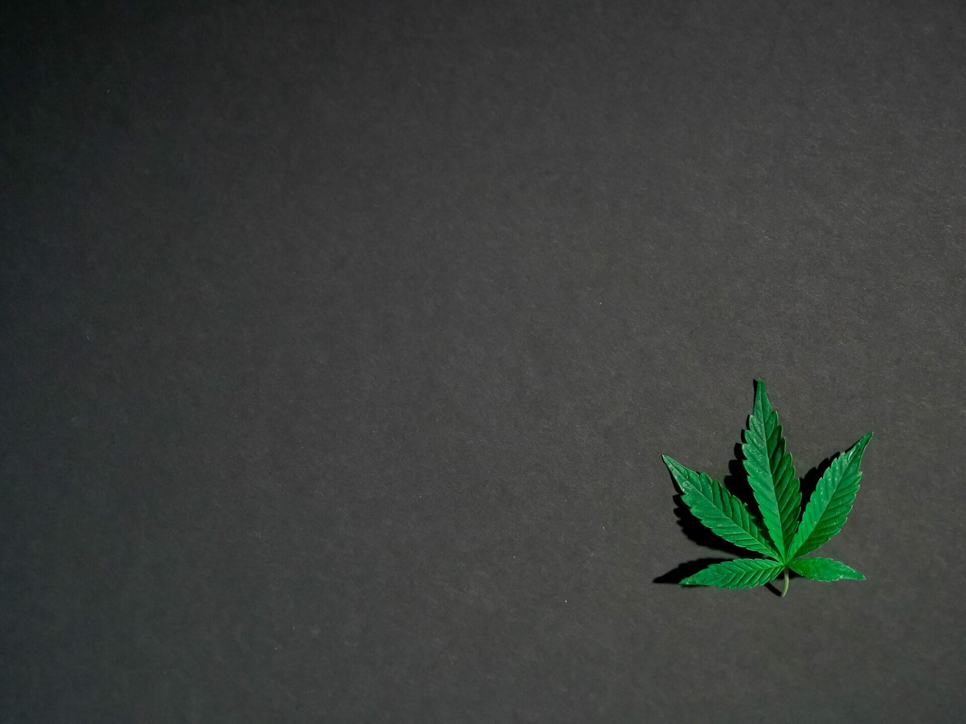 Hybrid - weed | Buy Cheap Weed Canada