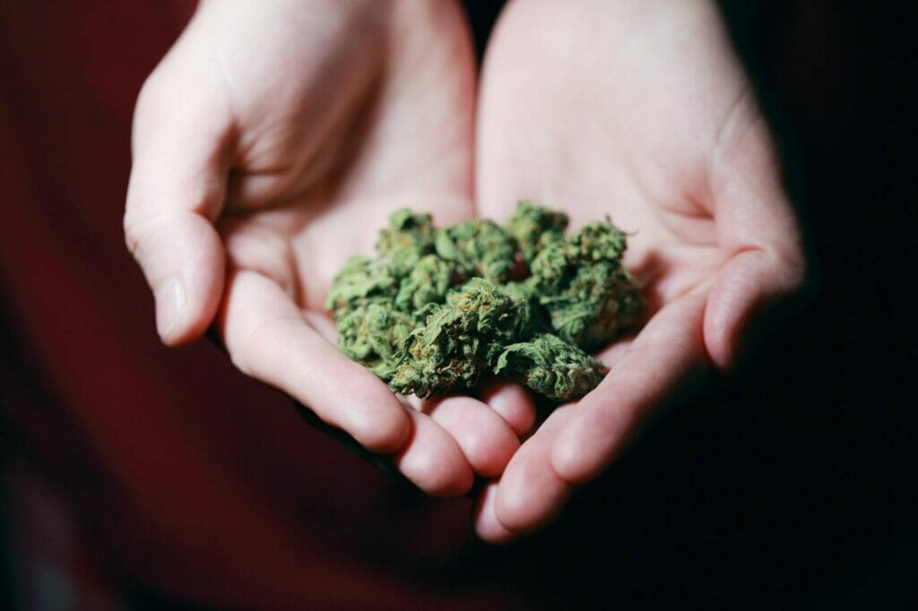 Best dispensary in canada | Buy Cheap Weed Canada