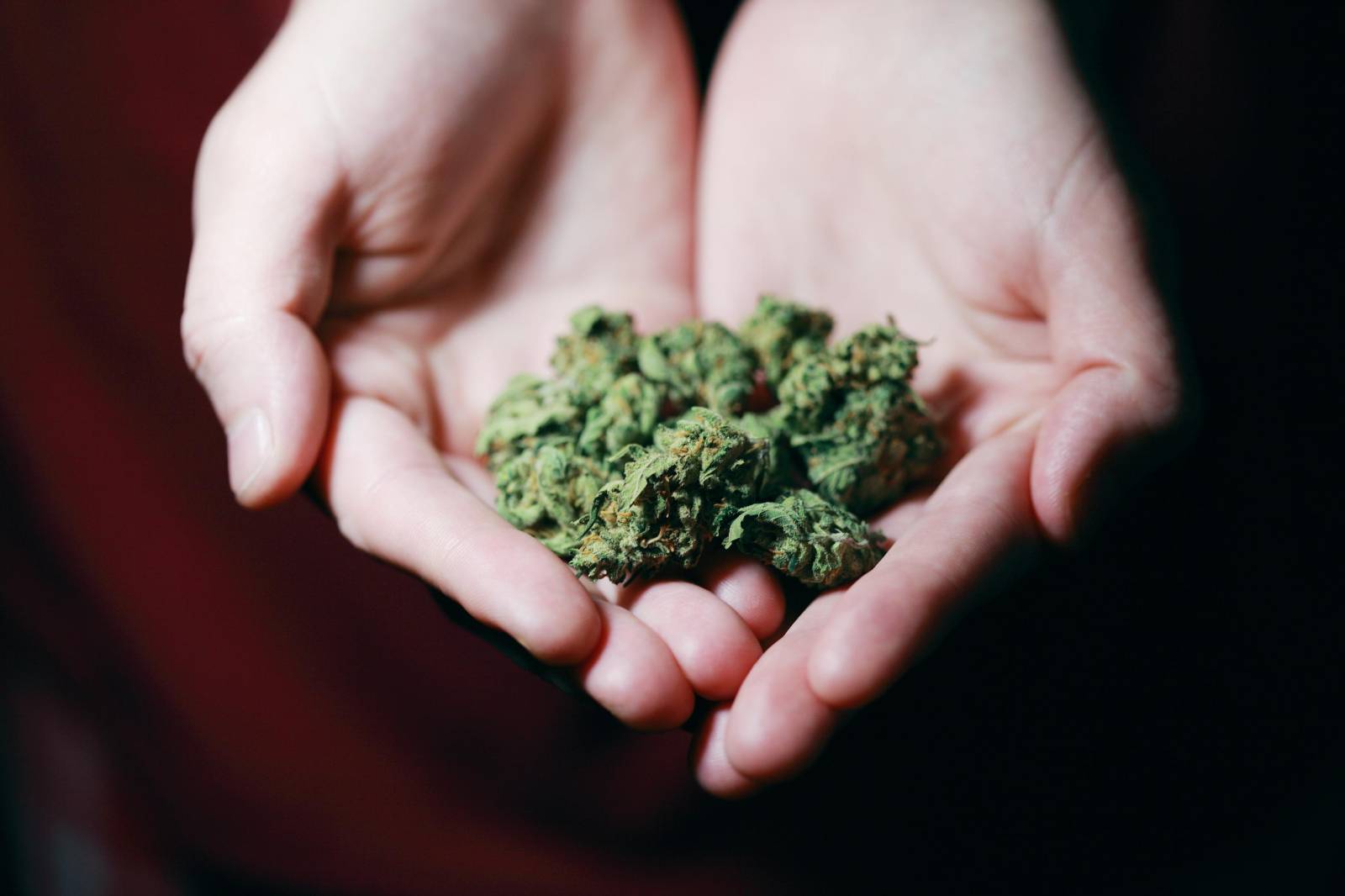 Best dispensary in canada | Buy Cheap Weed Canada