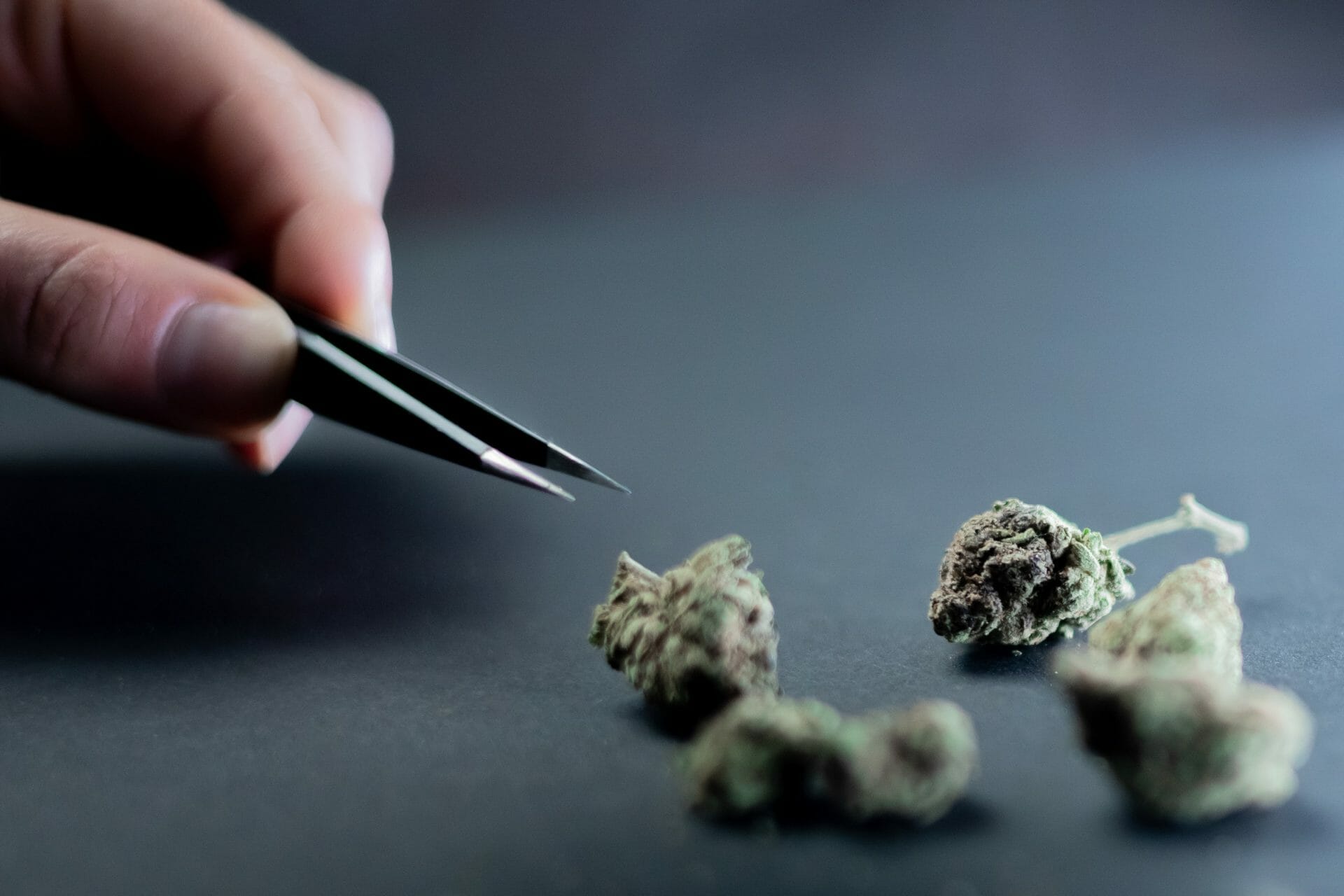 | Buy Cheap Weed Canada Buy weed Online Canada | Buy Cheap Weed Canada