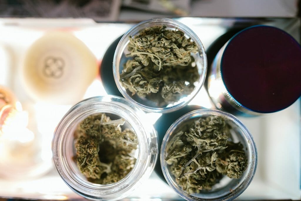 Best weed in Canada: Finding the Premium Hybrid Strains | Buy Cheap Weed Canada | Buy Cheap Weed Canada