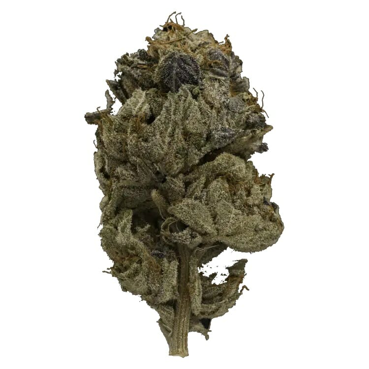 Enjoy the Heavy Indica Effects of Pink Gas Mask Strain | Buy Cheap Weed Canada | Buy Cheap Weed Canada