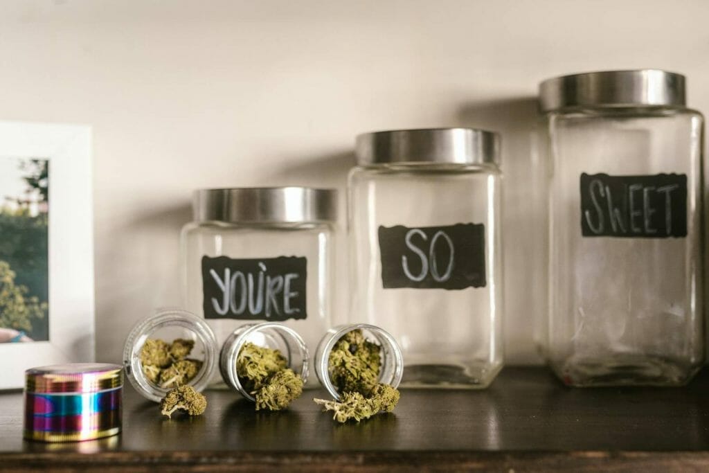 Beyond the Bud: The Role of a weed Dispensary in Promoting Wellness | Buy Cheap Weed Canada | Buy Cheap Weed Canada