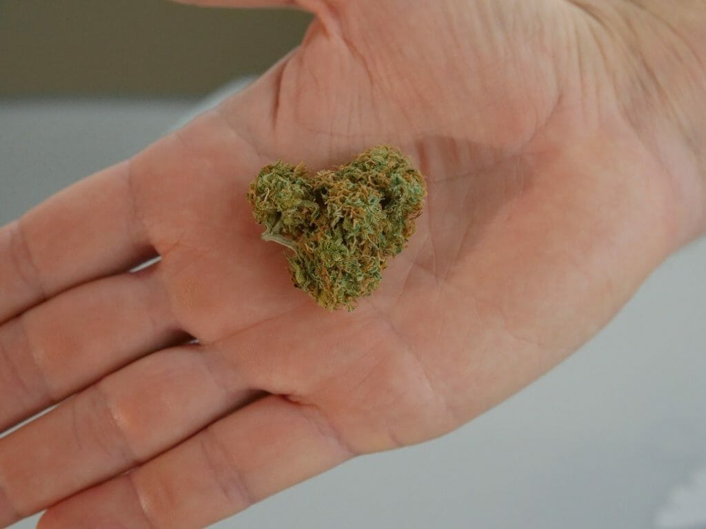 cannabis marijuana Canada | Buy Cheap Weed Canada