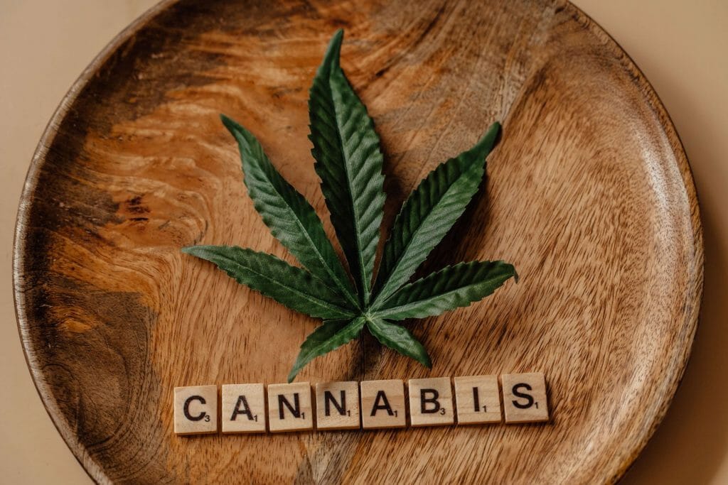 Beyond the Bud: The Role of a weed Dispensary in Promoting Wellness | Buy Cheap Weed Canada | Buy Cheap Weed Canada