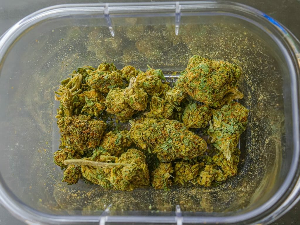 Best weed in Canada: Finding the Premium Hybrid Strains | Buy Cheap Weed Canada | Buy Cheap Weed Canada