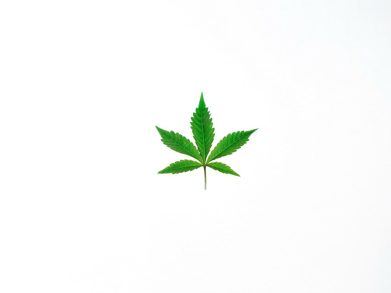 Benefits of Shopping in a BC weed Online Dispensary | Buy Cheap Weed Canada