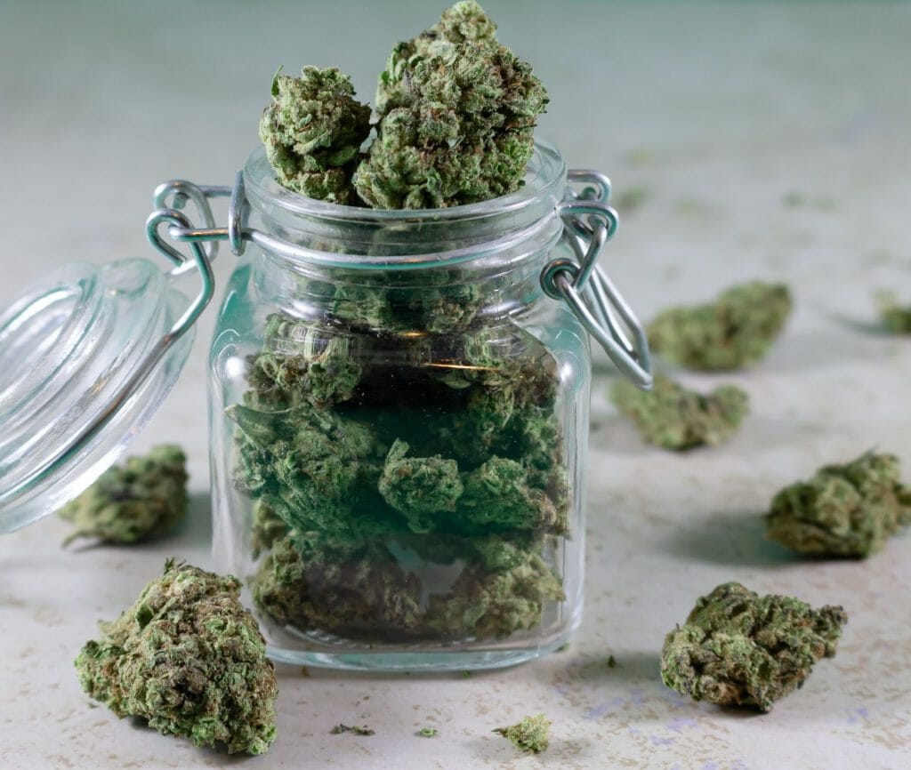 Bulk Weed: Unlocking the Power of Wholesale Cannabis | Buy Cheap Weed Canada | Buy Cheap Weed Canada