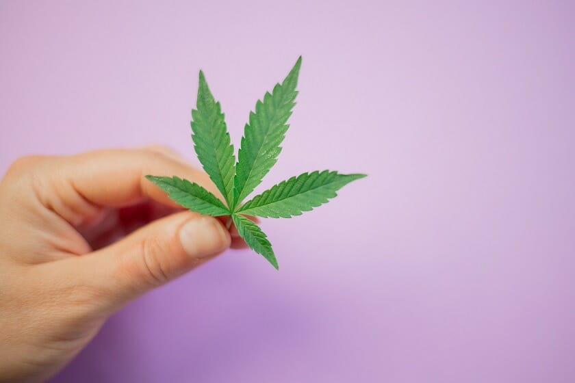 Discover How A weed Shop Helps You Better Understand Cannabis | Buy Cheap Weed Canada | Buy Cheap Weed Canada