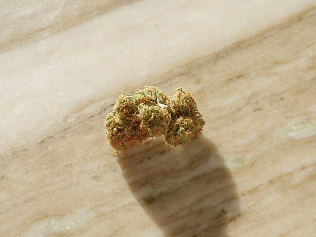 Grasslife weed Strains in Canada | Buy Cheap Weed Canada