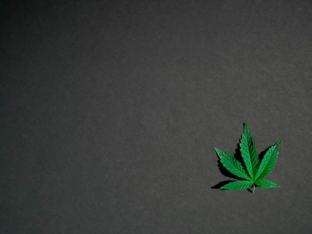 Hybrid Weed | Buy Cheap Weed Canada