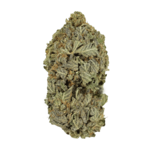 Purple Mimosa | Buy Cheap Weed Canada